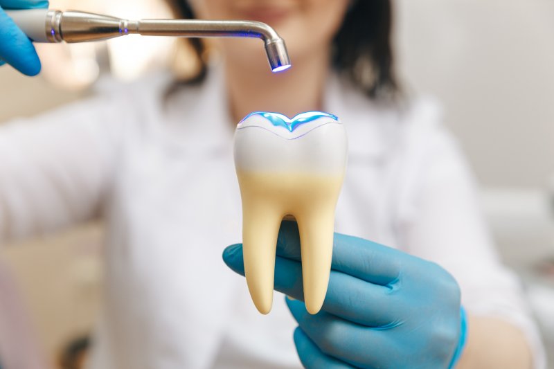 Dentist holding curing light over massive artificial tooth with dental filling